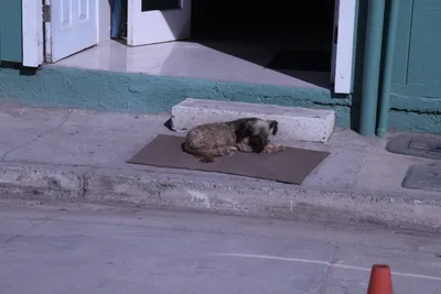 DSC_1899 (Large).JPG